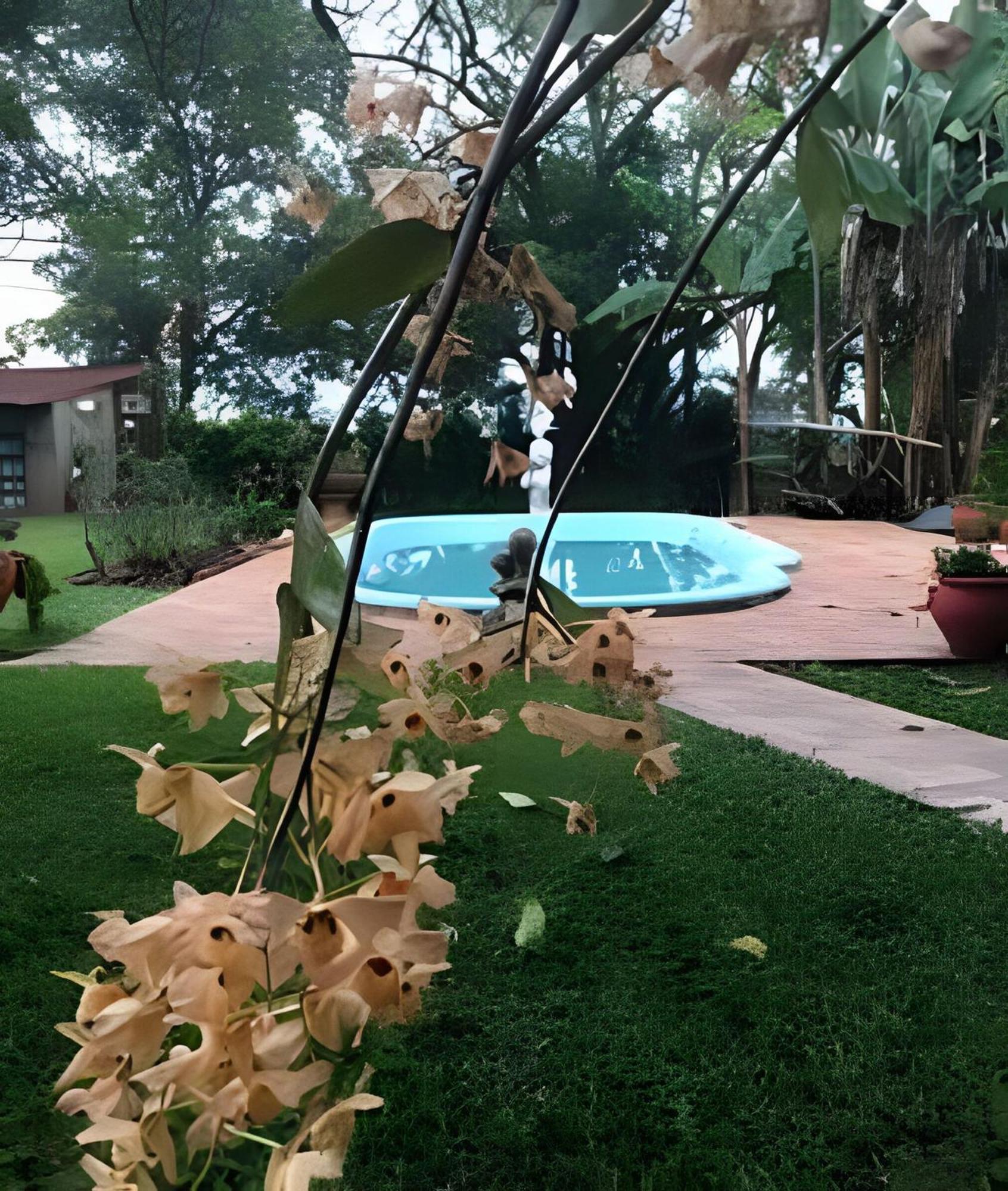 Cabanas Con Piscina En La Entrada De Oberá 外观 照片
